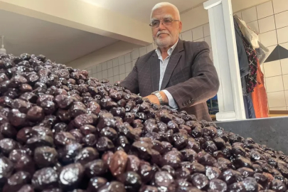 Bursa'nın Katırlı köyünden İsviçre’ye zeytin ihracatı