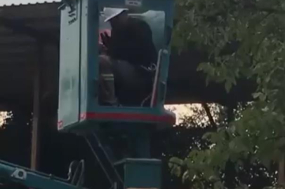 Bursa'da vinç üstünde "arı alarmı"