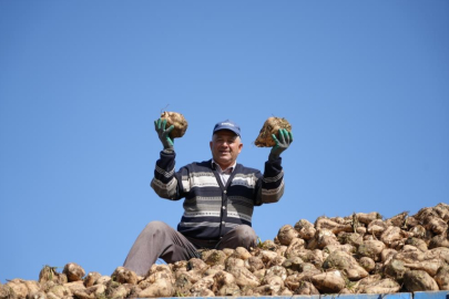 Pancar üretiminde düşüş şeker arzında sorun oluşturmayacak