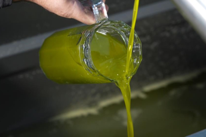 Türkiye'de satılan zeytinyağının yüzde 65'i ‘Ayvalık zeytinyağı' adıyla piyasada