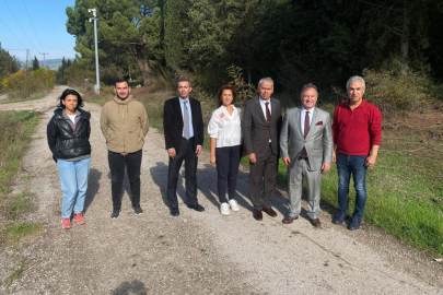 Bursa tarımına akademik bakış