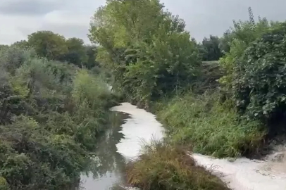 Gemlik Körfezi'nde kirlilik endişesi...