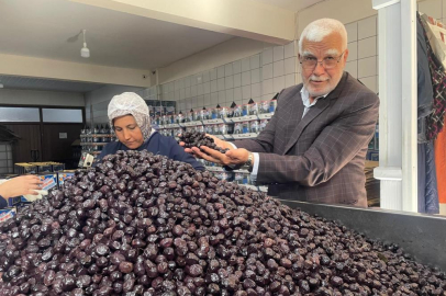 Her 6 sofralık zeytinden birini Bursa ve Balıkesir üretecek