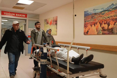 Bursa'da mantar yedi hastanelik oldu