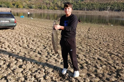 İnegöl'de su seviyesi düştü, dev yayın balıkları gündem oldu