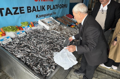 Denizlerde balık bolluğu: Hamsinin fiyatı 89 liraya düştü