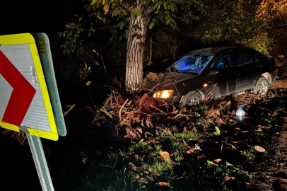 Bursa'da kontrolden çıkan otomobil ağaca çarptı: 3 kişi yaralandı