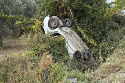 Bursa'da sollama yaparken zeytinliğe uçtu