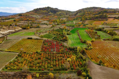 Sonbaharın renk cümbüşü Uludağ eteklerinde