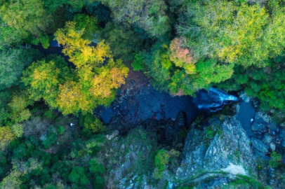 Gemlik'in saklı güzelliğinde renk cümbüşü
