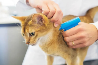 İnegöl'den mikroçip uyarısı