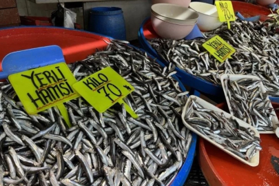 Tezgahlarda hamsi bolluğu