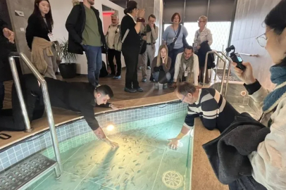 Alman turistler Bursa'da medikal termale hayran kaldı