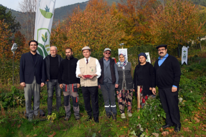 Osmangazi’de İlk Hasat Başkan Aydın’dan