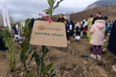 Bursa’da yanan ormanlar yeniden yeşeriyor