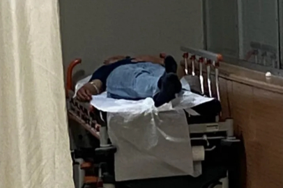 Bursa'da yedikleri mantardan hastanelik oldular