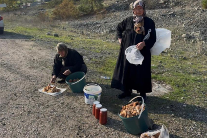 Bursa'da iki yaşlı kadın gençlere taş çıkartıyor