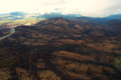 Bursa yeniden yeşerecek