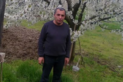 Bursa'da budadığı ağaçtan düşen adam hayatını kaybetti