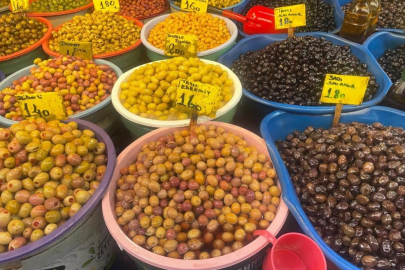 Zeytin alırken nelere dikkat etmeli; Oleolog Kıvrak açıkladı