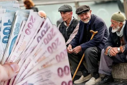 Emekliye geniş kapsamlı destek: Bakanlıklar harekete geçti