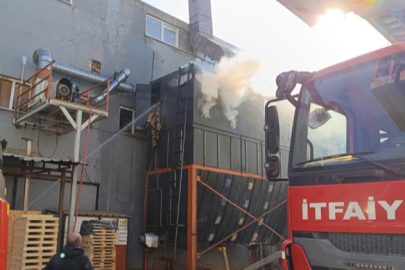 Bursa'da mobilya fabrikasında yangın: 1 yaralı