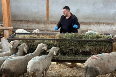 Bursa'da şap mağduru üreticiler destek bekliyor