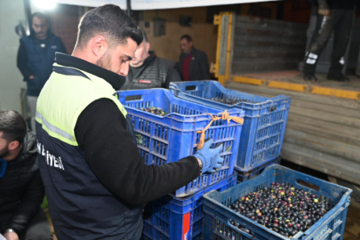 Gemlik'ten zeytinciye büyük destek