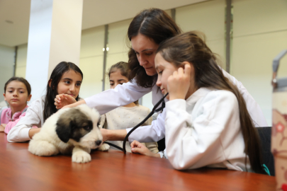 Bursa'da minik veterinerler görev başında