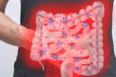 Bağırsak sağlığı, uzun yaşam üzerinde belirleyici rol oynuyor