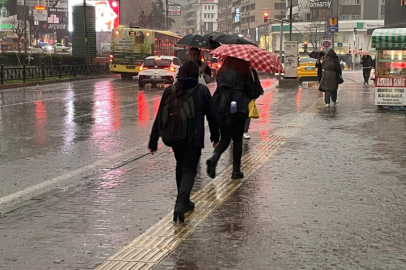 Bursalı çiftçilerin yağışlarla yüzü güldü