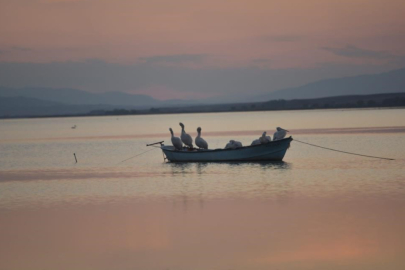 Karacabey'de çeltik ekimi yasaklandı