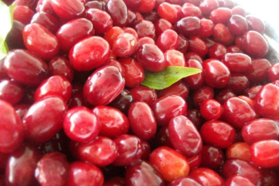 Soğuk algınlığına doğal çözüm: Kızılcık