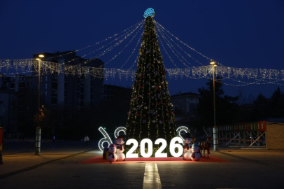 Nilüfer yeni yıla hazır