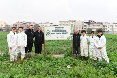 Osmangazi’de pırasa hasadıyla doğallık sofralara taşınıyor