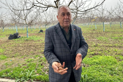 Cevizle yaşam şartları değişen köyde İstanbullular da bahçe kuruyor