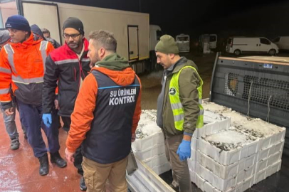 Bursa’da balık halinde gece operasyonu...615 kilo istavrite el konuldu