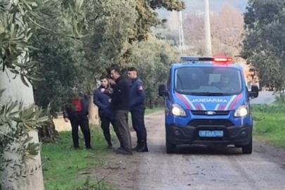 Bursa'da zeytinleri dalından çaldılar