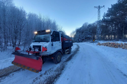 Osmangazi'de kar sonrası buzlanmaya karşı seferberlik