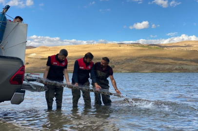 Türkiye nüfusu kadar balık deniz ve göllere bırakıldı