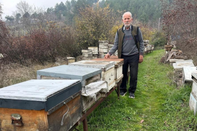 Zirai ilaç yüzünden milyonlarca arısı kovana dönemeden öldü