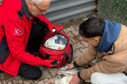 Denizde can mücadelesi: Martıyı 911 ekipleri kurtardı