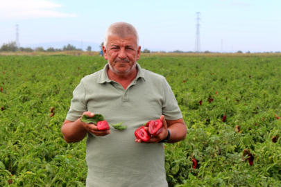 Çiftçilerden çağrı: "Üretim maliyetleri baskılanamaz hale geldi"