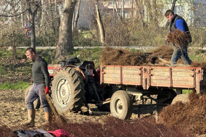 Kurulan her meyve bahçesinde "Bursa" imzası var