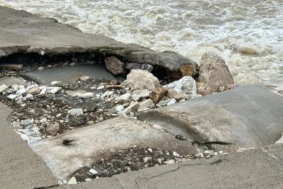 Bursa'da mesire alanındaki hasarlı köprü tehlike saçıyor