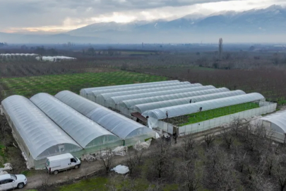 Lodostan zarar gören seralara Büyükşehir desteği