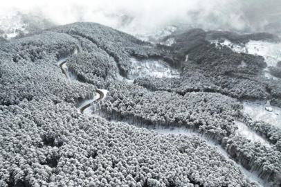Beyaz örtüyle Uludağ'ın virajları görsel şölene dönüştü