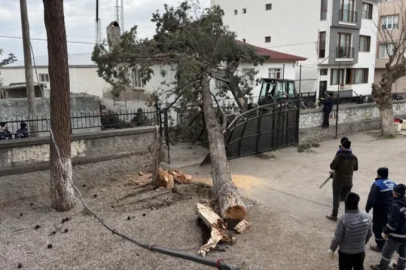 İznik'te okulların tatil olması faciayı önledi