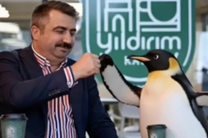 Penguen sürüden ayrılırken belediyeler boş durmadı