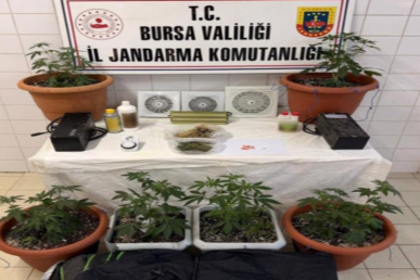 Bursa'da uyuşturucu operasyonu: 1 tutuklama